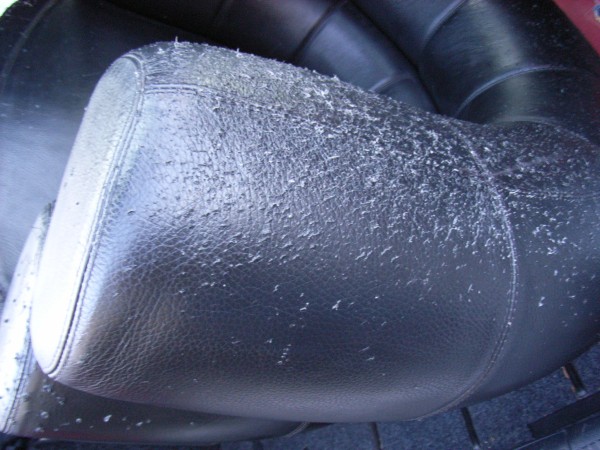 Кот поцарапал диван