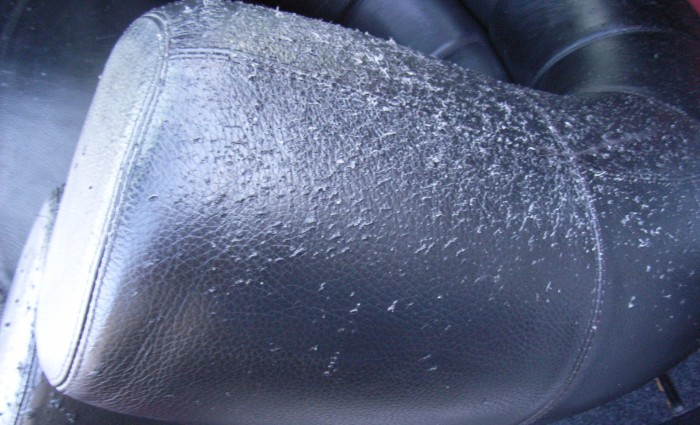 Царапины на кожаном кресле