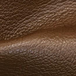 Коллекция Elephant